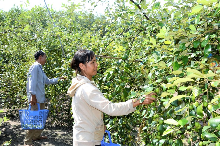 Đề xuất dành 12,35 triệu tỷ đồng xây dựng nông thôn mới và giảm nghèo - 1