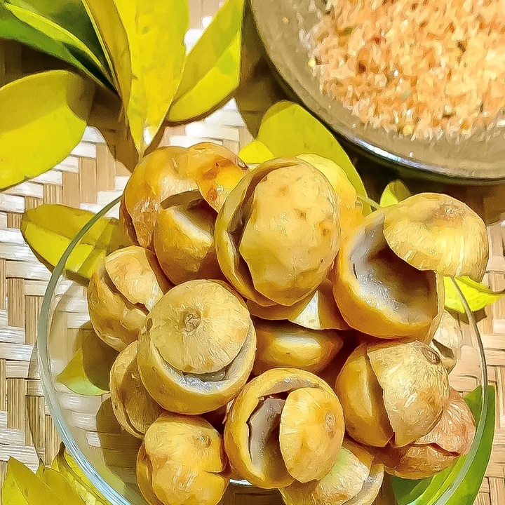 Mùa sấu chín lại về - 2 Mùa sấu chín lại về - 2