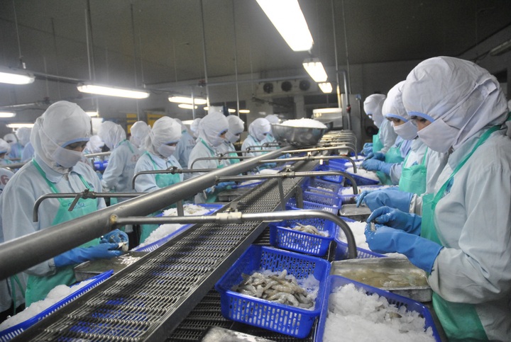 Đồng bằng sông Cửu Long: Đối mặt với di cư lớn và chất lượng nhân lực - 1