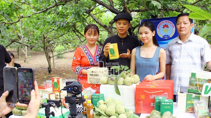 Bài toán chi phí và lối thoát từ đầu tư chế biến sâu - 1 Bài toán chi phí và lối thoát từ đầu tư chế biến sâu - 1