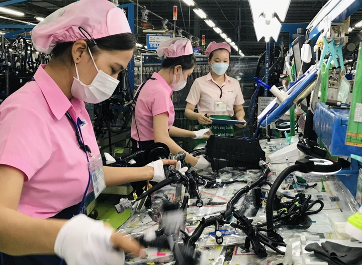 Nhiều triển vọng để đạt mục tiêu tăng trưởng từ 10% trở lên - 2 Nhiều triển vọng để đạt mục tiêu tăng trưởng từ 10% trở lên - 2