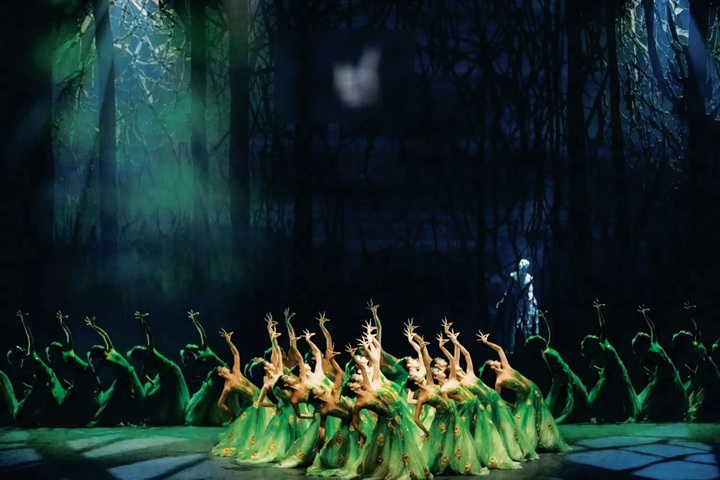 “Chim công làng múa” đem “Khổng Tước” đến Việt Nam - 1