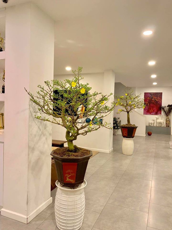 Ngắm căn biệt thự sang trọng ngập tràn hoa lá của Hồ Ngọc Hà - Ảnh 9. Ngắm căn biệt thự sang trọng ngập tràn hoa lá của Hồ Ngọc Hà - Ảnh 9.