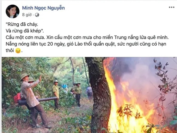 Khóc cùng bài thơ Rừng ơi, đừng cháy nữa! của cô giáo dạy Sử - Ảnh 2. Khóc cùng bài thơ Rừng ơi, đừng cháy nữa! của cô giáo dạy Sử - Ảnh 2.