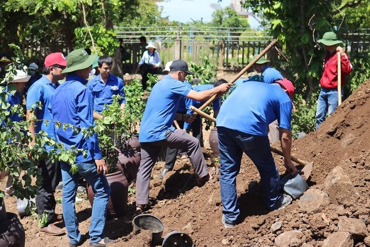 Đoàn viên, thanh niên Quảng Trị trồng hoa giấy làm đẹp đảo Cồn Cỏ - Ảnh 3.