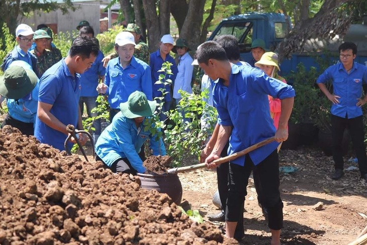 Đoàn viên, thanh niên Quảng Trị trồng hoa giấy làm đẹp đảo Cồn Cỏ - Ảnh 5.