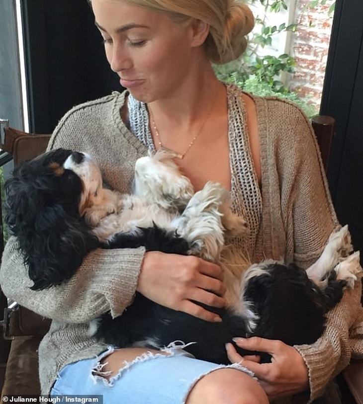 Julianne Hough đau buồn khi mất 2 cún cưng - Ảnh 3.
