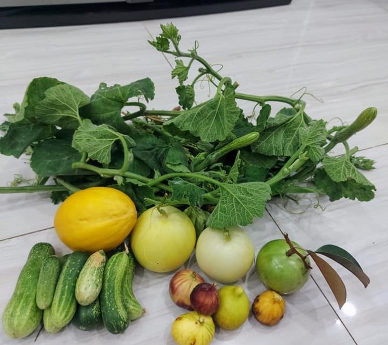 Ông bố đảm vác vật liệu lên sân thượng, xây bồn trồng đủ loại rau trái - 10 Ông bố đảm vác vật liệu lên sân thượng, xây bồn trồng đủ loại rau trái - 10