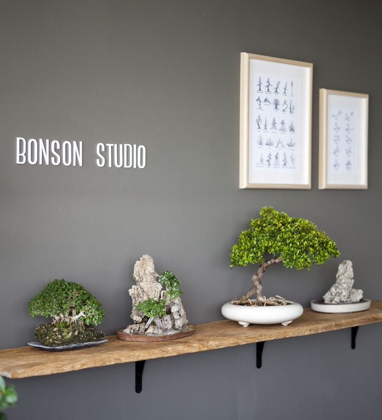 Khu vườn bonsai hàng trăm gốc trong ngôi nhà cải tạo từ nơi bỏ hoang 15 năm - 13 Khu vườn bonsai hàng trăm gốc trong ngôi nhà cải tạo từ nơi bỏ hoang 15 năm - 13