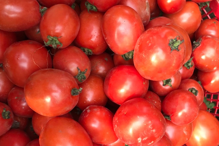 Giá cà chua tăng sốc, chạm mốc 50.000 đồng/kg - 1