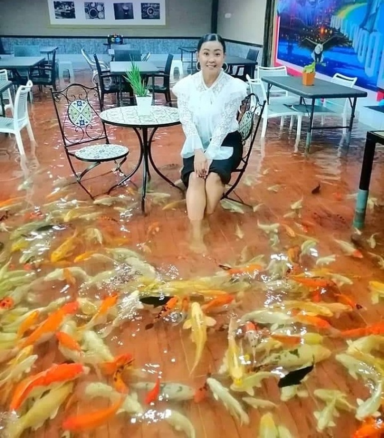 Độc đáo quán cà phê cho cá Koi bơi dưới chân khách - 2 Độc đáo quán cà phê cho cá Koi bơi dưới chân khách - 2