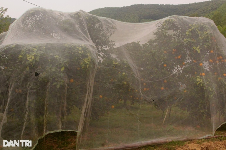 Capturing the barren, deserted land to spawn billions every year - 3