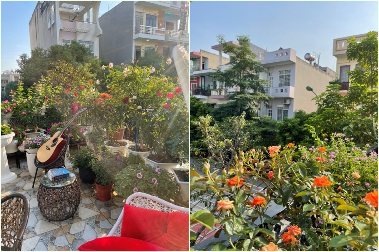 Vườn hoa vỏn vẹn 20 mét vuông ngập tràn sắc màu của nữ kế toán Bắc Giang - 7 Vườn hoa vỏn vẹn 20 mét vuông ngập tràn sắc màu của nữ kế toán Bắc Giang - 7