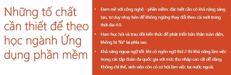 Ứng dụng phần mềm, ngành học thu nhập cao cho người trẻ - 3