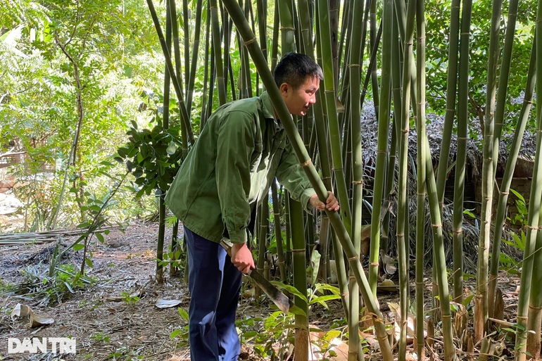 Thoát nghèo nhờ trồng cây vàng xanh trên đỉnh núi - 2 Thoát nghèo nhờ trồng cây vàng xanh trên đỉnh núi - 2