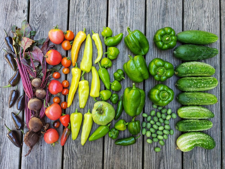 The American woman is passionate about collecting seeds, planting hundreds of clean agricultural products - 10 The American woman is passionate about collecting seeds, planting hundreds of clean agricultural products - 10