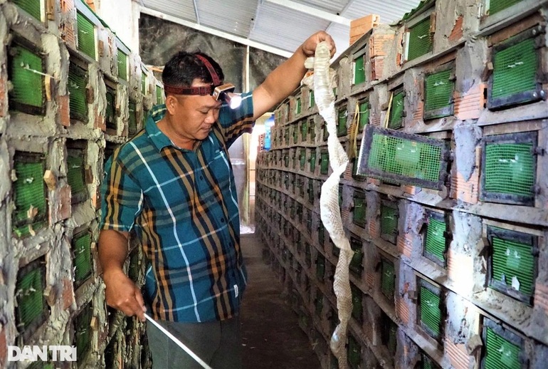 The farmer risked raising children, many people were scared, and he made a huge profit - 6 The farmer risked raising children, many people were scared, and he made a huge profit - 6
