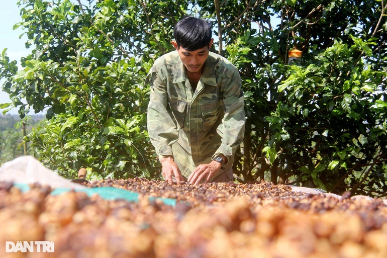 21 mô hình kinh doanh quán cafe hiệu quả thu hút khách nhất 2021