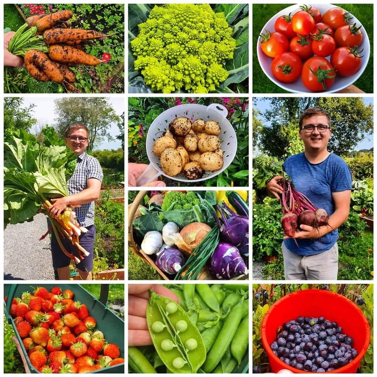 Chàng trai làm vườn hữu cơ, bội thu trăm loại nông sản sạch ở Anh - 14
