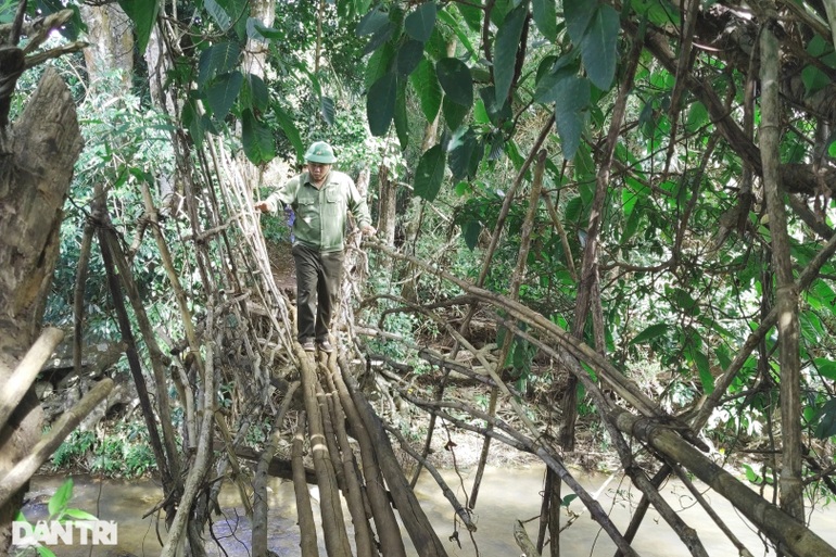 Discover Ro Tu waterfall hidden deep in Gia Lai green forest - 4