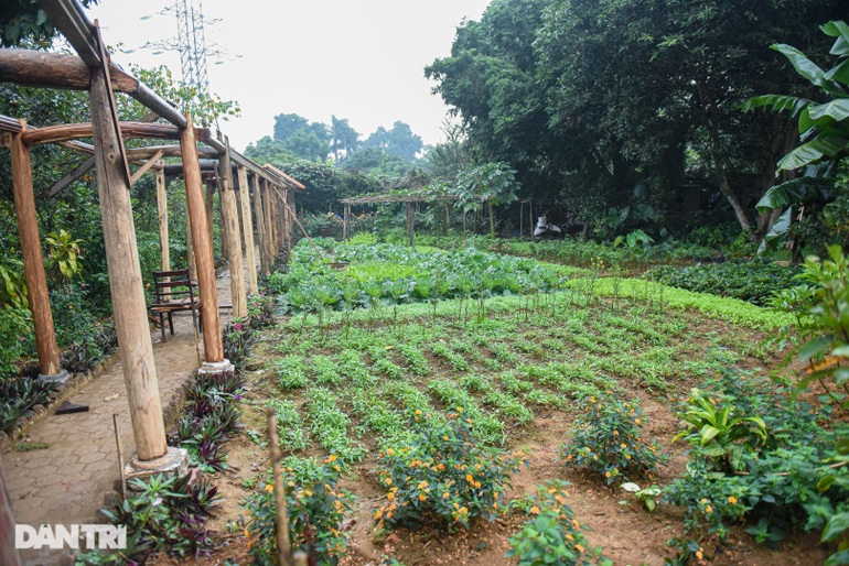 Ông bố điên ở Hà Nội xin gạch cũ, mua ngói bạc màu làm nhà vườn 10.000m2 - 14