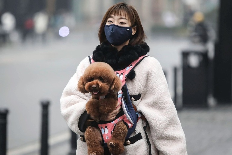 Thanh niên Trung Quốc lựa chọn nuôi thú cưng thay vì kết hôn - 1