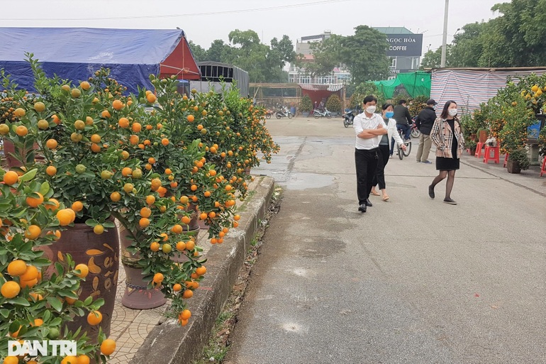 Người từ vùng cấp độ dịch nào về Ninh Bình ăn Tết phải cách ly? - 4 Người từ vùng cấp độ dịch nào về Ninh Bình ăn Tết phải cách ly? - 4