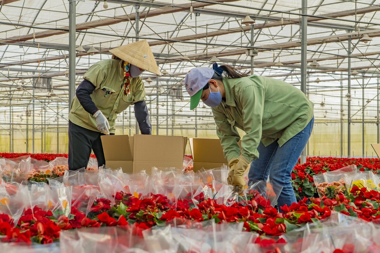 Nghề lương chỉ 8 triệu, không mong thưởng Tết cao nhưng thơm tho cả ngày - 5 Nghề lương chỉ 8 triệu, không mong thưởng Tết cao nhưng thơm tho cả ngày - 5
