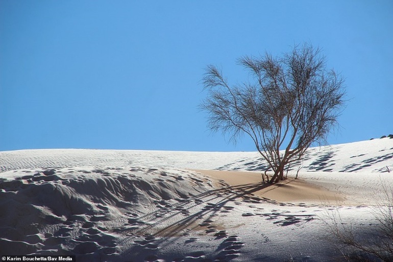 Tuyết rơi bất thường, phủ trắng xóa ở vùng đất khô nóng nhất thế giới - 1