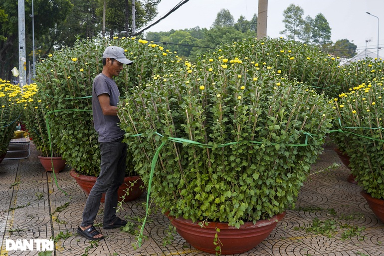 Thị trường hoa Tết TPHCM: Điểm vắng khách, nơi cháy hàng không kịp bán - 4 Thị trường hoa Tết TPHCM: Điểm vắng khách, nơi cháy hàng không kịp bán - 4