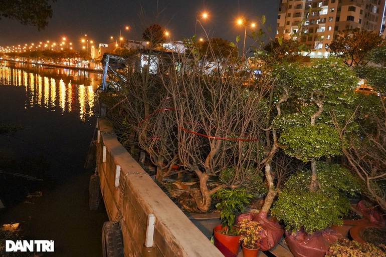 Thị trường hoa Tết TPHCM: Điểm vắng khách, nơi cháy hàng không kịp bán - 2 Thị trường hoa Tết TPHCM: Điểm vắng khách, nơi cháy hàng không kịp bán - 2