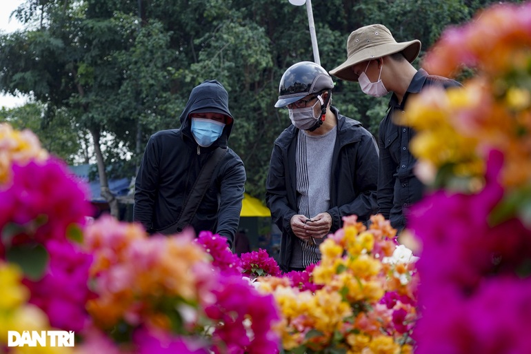 Thị trường hoa Tết TPHCM: Điểm vắng khách, nơi cháy hàng không kịp bán - 5 Thị trường hoa Tết TPHCM: Điểm vắng khách, nơi cháy hàng không kịp bán - 5