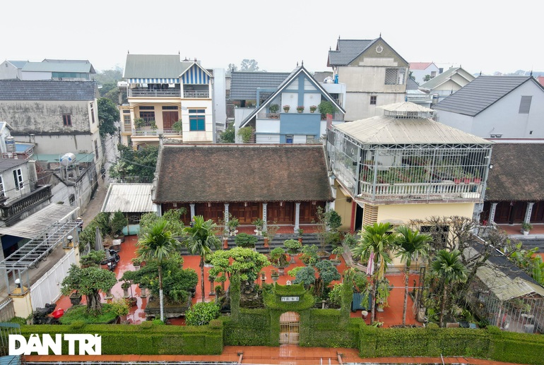 Căn nhà có hàng rào bằng cây ô rô tạo tác 30 năm độc nhất ở Hà Nội - 11