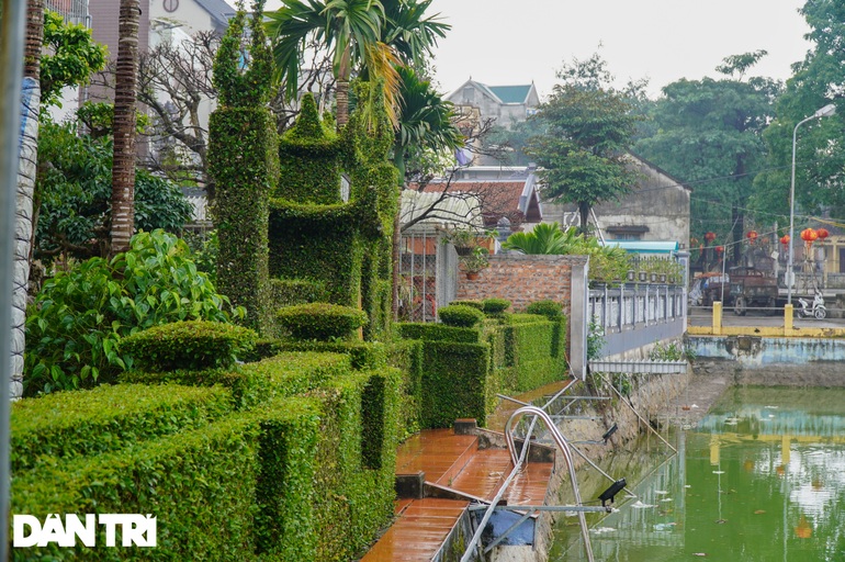 Căn nhà có hàng rào bằng cây ô rô tạo tác 30 năm độc nhất ở Hà Nội - 4