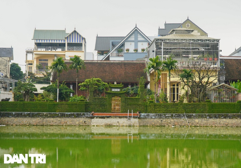 Căn nhà có hàng rào bằng cây ô rô tạo tác 30 năm độc nhất ở Hà Nội - 1