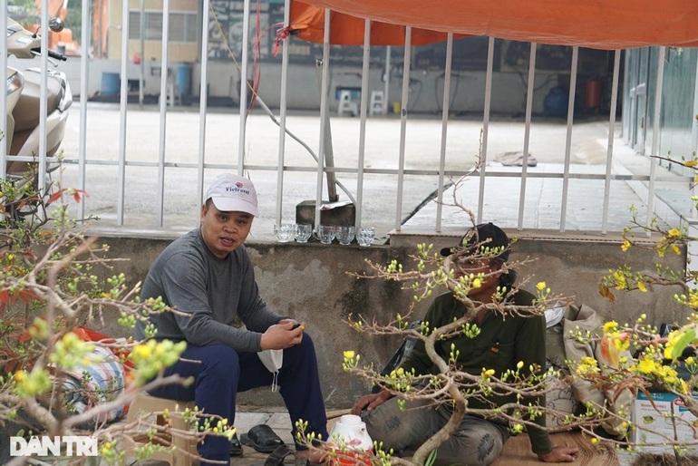 Chủ buôn cây cảnh lo ế hàng, người vận chuyển mỏi mắt tìm việc - 10 Chủ buôn cây cảnh lo ế hàng, người vận chuyển mỏi mắt tìm việc - 10