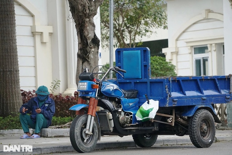 Chủ buôn cây cảnh lo ế hàng, người vận chuyển mỏi mắt tìm việc - 7 Chủ buôn cây cảnh lo ế hàng, người vận chuyển mỏi mắt tìm việc - 7