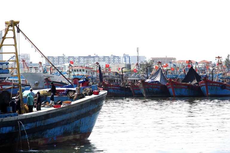 Kiếm cả trăm triệu đồng nhờ chuyến biển cuối năm no cá - 1 Kiếm cả trăm triệu đồng nhờ chuyến biển cuối năm no cá - 1