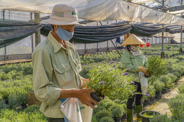 Nghề lương chỉ 8 triệu, không mong thưởng Tết cao nhưng thơm tho cả ngày - 1 Nghề lương chỉ 8 triệu, không mong thưởng Tết cao nhưng thơm tho cả ngày - 1