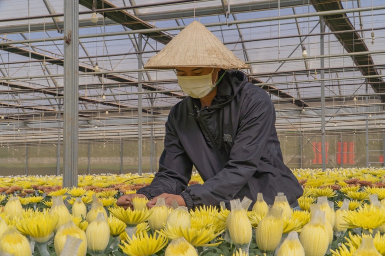 Nghề lương chỉ 8 triệu, không mong thưởng Tết cao nhưng thơm tho cả ngày - 4 Nghề lương chỉ 8 triệu, không mong thưởng Tết cao nhưng thơm tho cả ngày - 4
