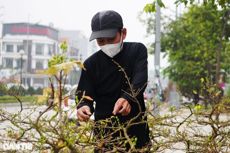 Dở khóc dở cười mua mai về chưa kịp bán Tết, cả nhà đã phải cách ly - 2 Dở khóc dở cười mua mai về chưa kịp bán Tết, cả nhà đã phải cách ly - 2