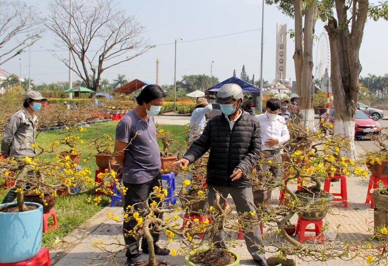 Giá hoa giảm, người trồng hoa vẫn mỏi mắt chờ thượng đế - 7 Giá hoa giảm, người trồng hoa vẫn mỏi mắt chờ thượng đế - 7