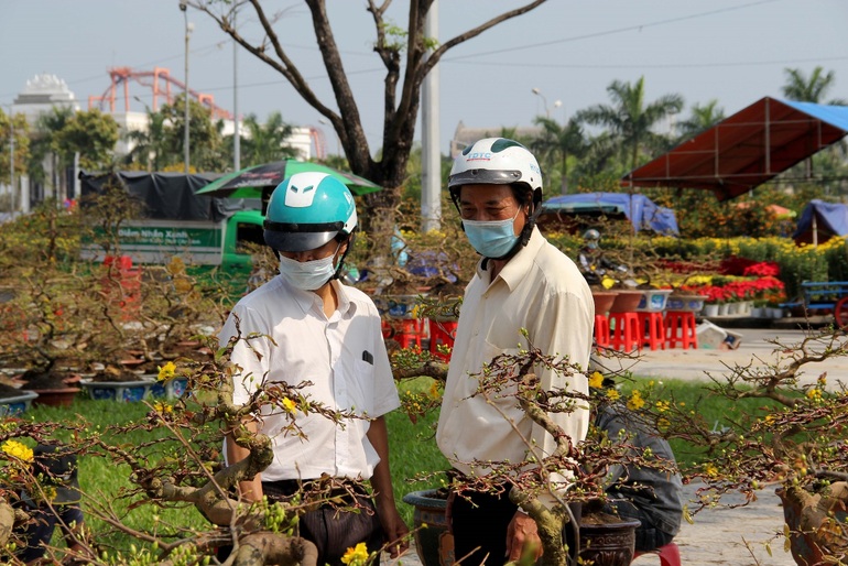 Giá hoa giảm, người trồng hoa vẫn mỏi mắt chờ thượng đế - 10 Giá hoa giảm, người trồng hoa vẫn mỏi mắt chờ thượng đế - 10