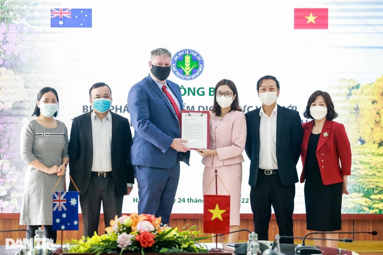 Hoạt chất nào giúp hàng chục triệu cành hoa Việt Nam tiếp tục được sang Úc? - 3 Hoạt chất nào giúp hàng chục triệu cành hoa Việt Nam tiếp tục được sang Úc? - 3