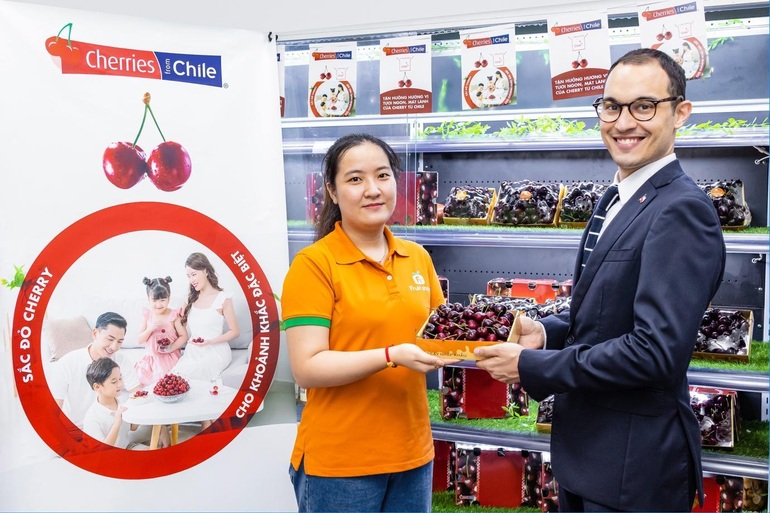 Cherry Chile - vụ mùa mới cho năm mới thêm đặc biệt - 5 Cherry Chile - vụ mùa mới cho năm mới thêm đặc biệt - 5