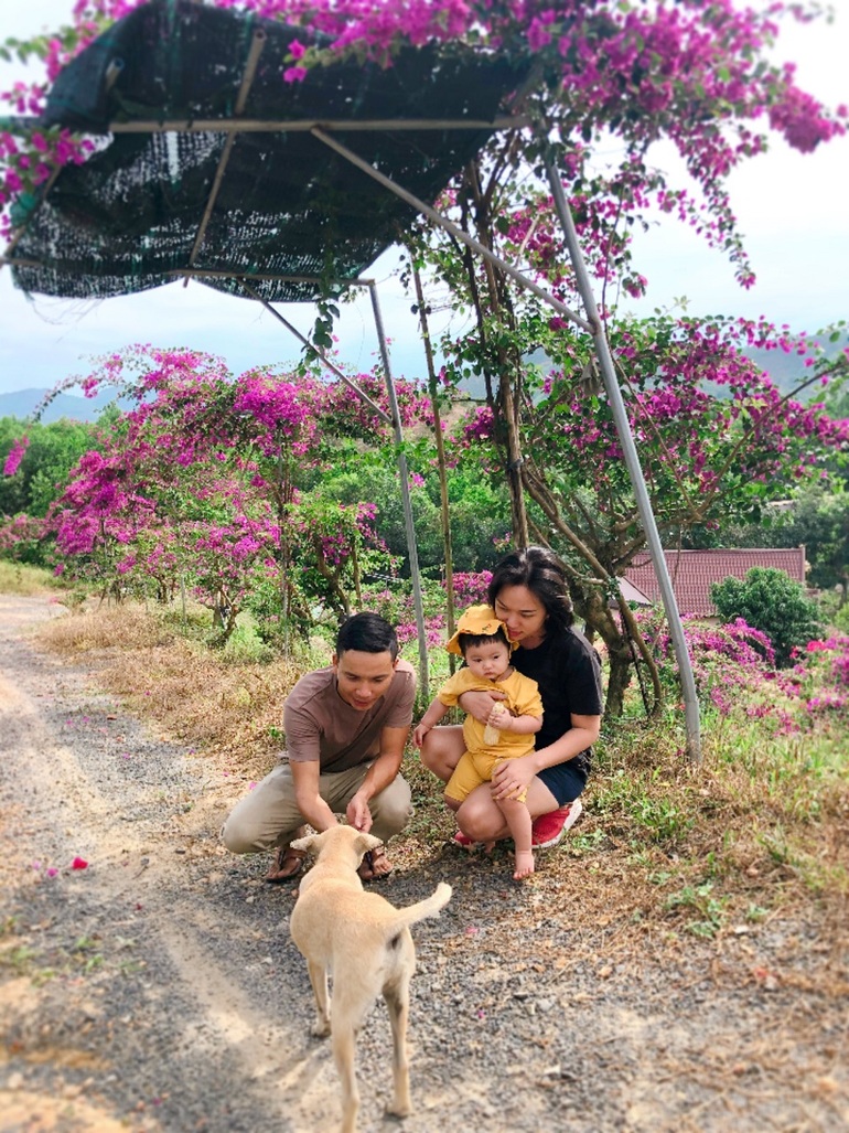 Vợ chồng biến 5500 m2 đất cằn thành khu đồi hoa giấy đẹp như mơ ở Lâm Đồng - 2 Vợ chồng biến 5500 m2 đất cằn thành khu đồi hoa giấy đẹp như mơ ở Lâm Đồng - 2