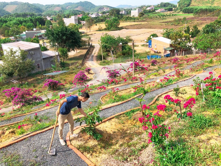 Vợ chồng biến 5500 m2 đất cằn thành khu đồi hoa giấy đẹp như mơ ở Lâm Đồng - 4 Vợ chồng biến 5500 m2 đất cằn thành khu đồi hoa giấy đẹp như mơ ở Lâm Đồng - 4