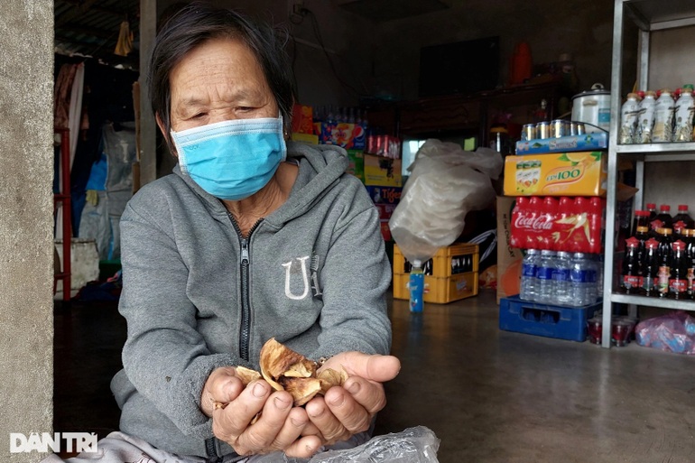 Làng trồng bí đao khổng lồ, quả nặng hơn nửa tạ ở Bình Định - 4 Làng trồng bí đao khổng lồ, quả nặng hơn nửa tạ ở Bình Định - 4