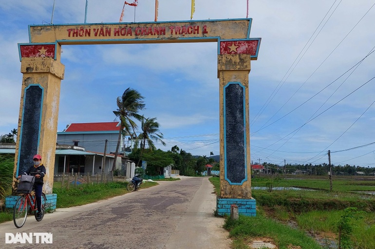 Làng trồng bí đao khổng lồ, quả nặng hơn nửa tạ ở Bình Định - 2 Làng trồng bí đao khổng lồ, quả nặng hơn nửa tạ ở Bình Định - 2