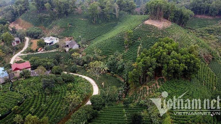 Cho chè ăn trứng gà, huyện ở Thái Nguyên chia nhau bọc tiền 1.200 tỷ - 4 Cho chè ăn trứng gà, huyện ở Thái Nguyên chia nhau bọc tiền 1.200 tỷ - 4